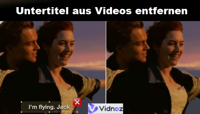 7 effektivste Möglichkeiten, Untertitel zu entfernen